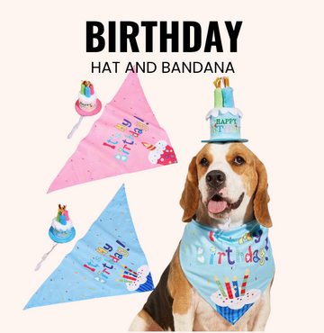 Birthday Hat and Bandana in Blue and Pink Colors