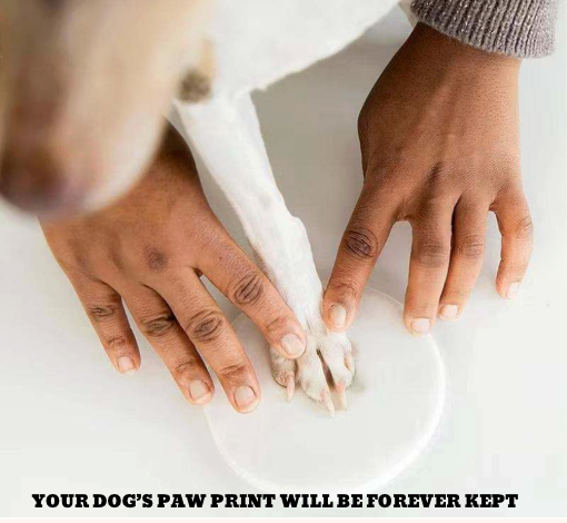 Premium Pet Paw Print Keepsake Frame Kit in Natural Wood Color