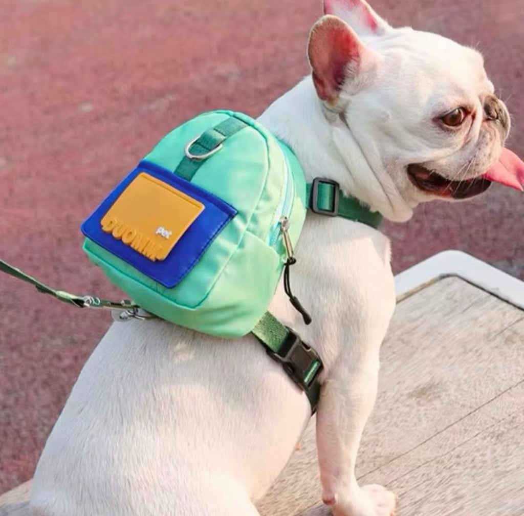 Medium Size Dog Backpacks