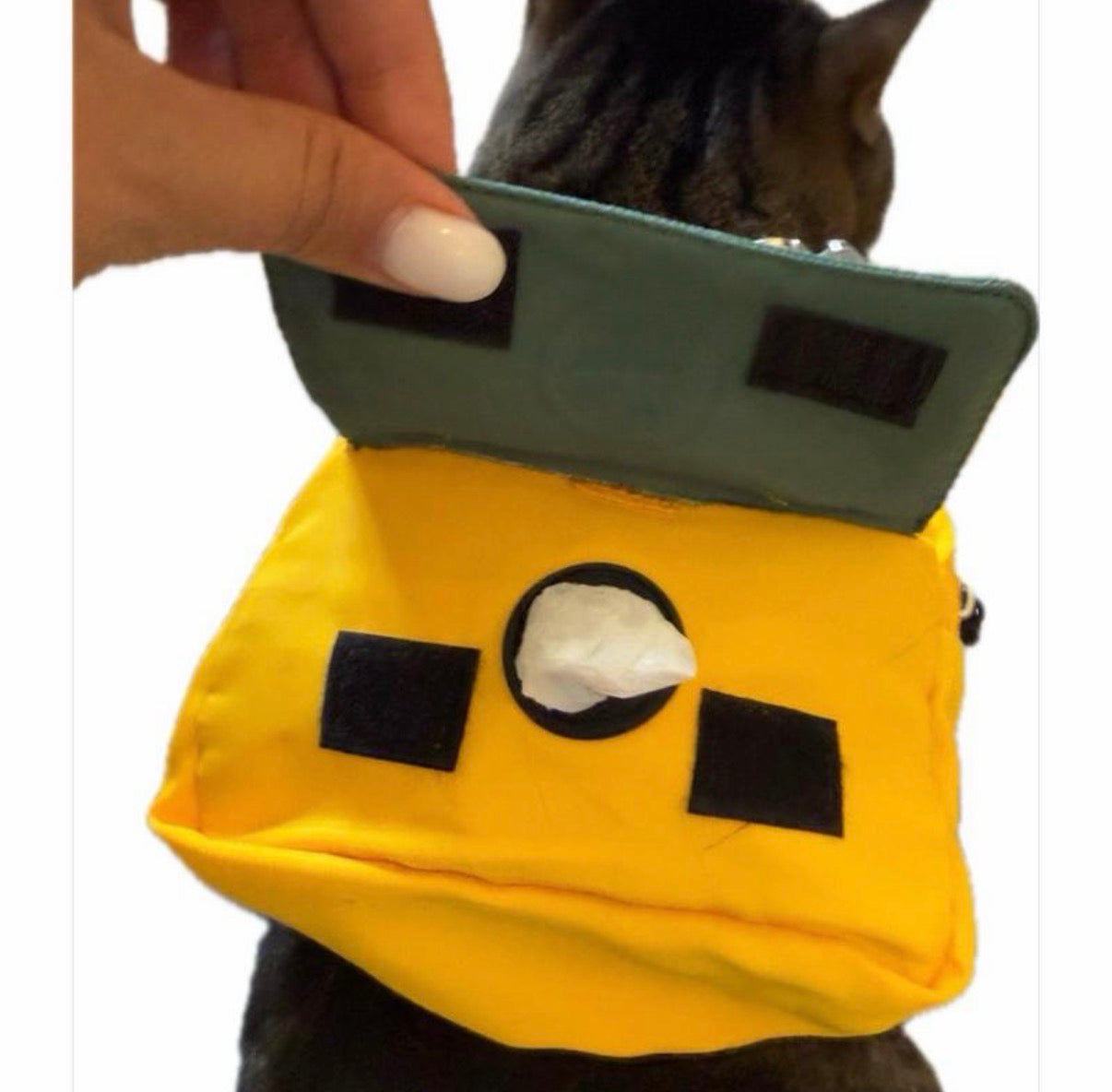 Medium Size Dog Backpacks