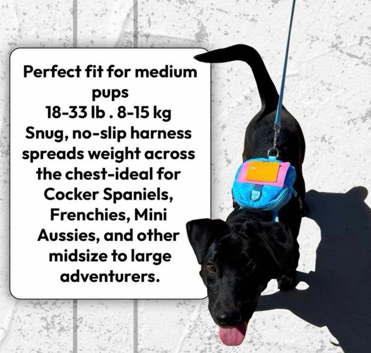Medium Size Dog Backpacks