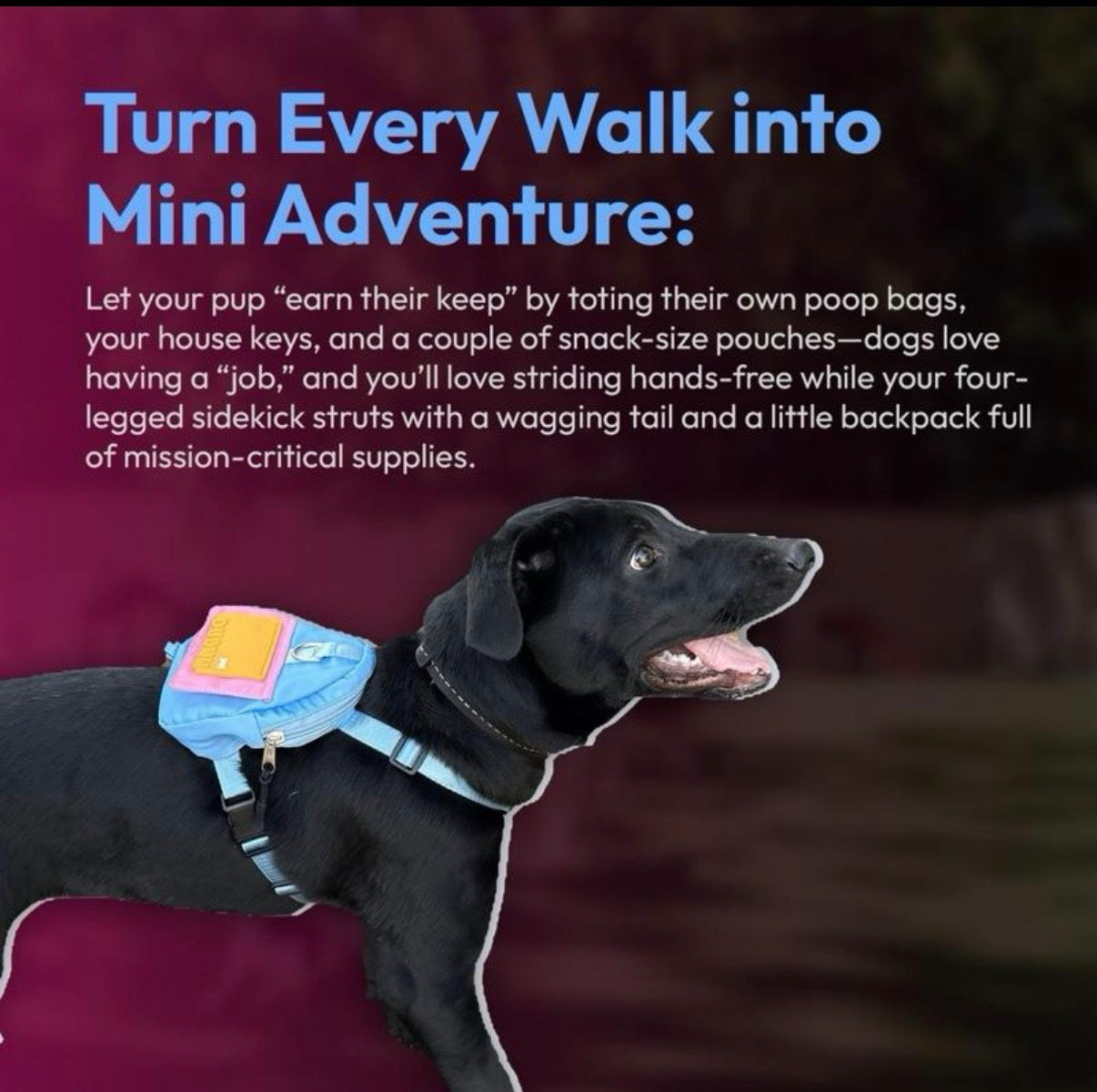 Medium Size Dog Backpacks