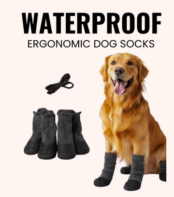 Waterproof Ergonomic Dog Shoes